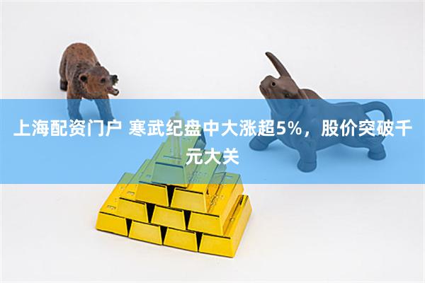 上海配资门户 寒武纪盘中大涨超5%，股价突破千元大关
